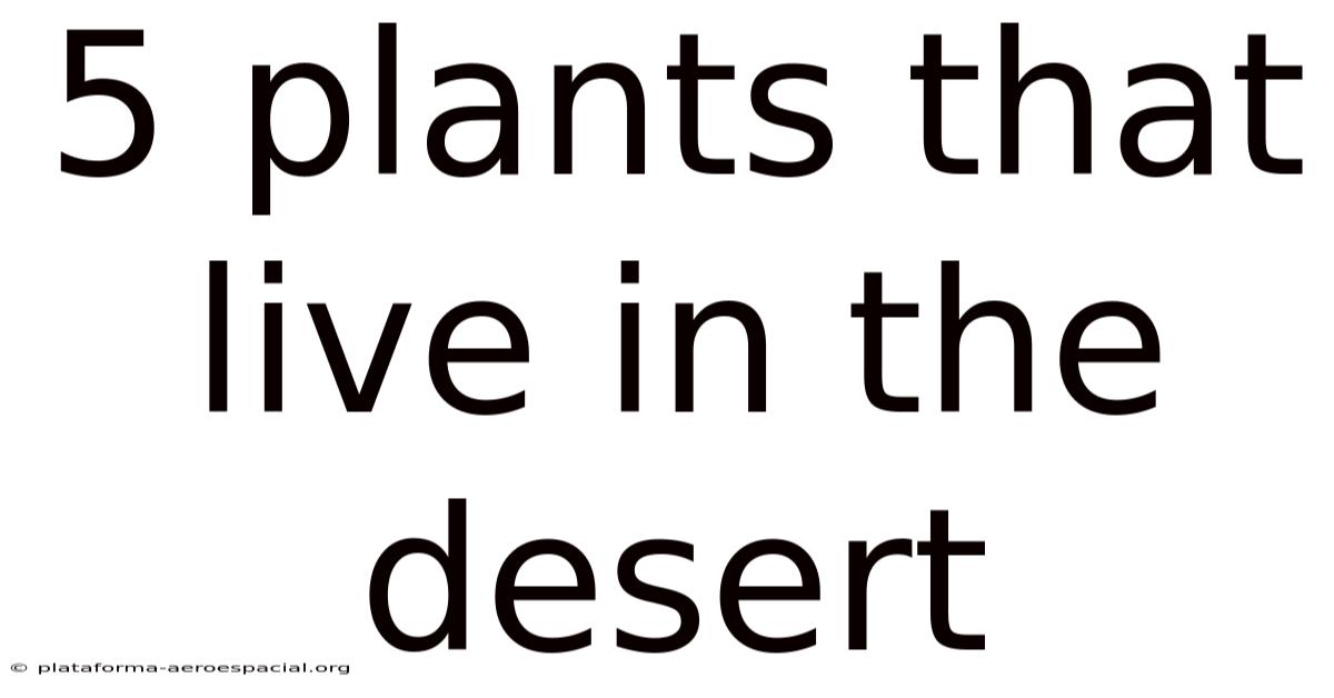 5 Plants That Live In The Desert