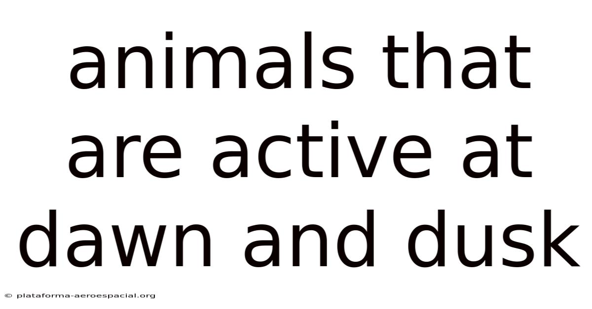 Animals That Are Active At Dawn And Dusk