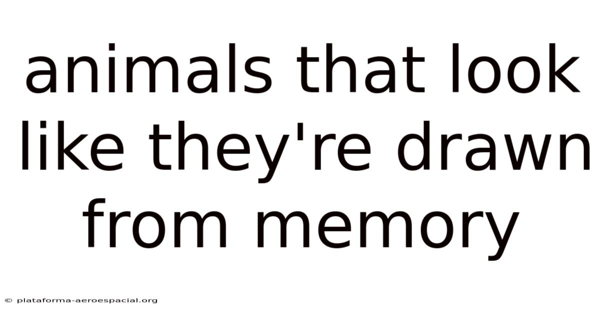 Animals That Look Like They're Drawn From Memory