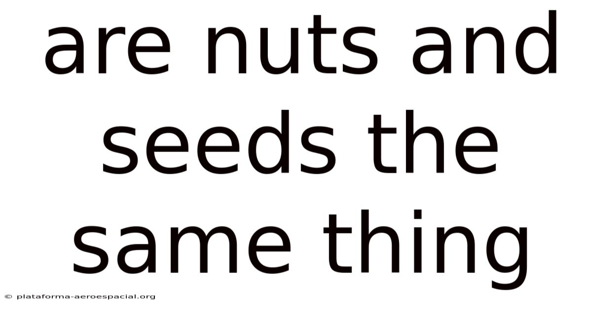 Are Nuts And Seeds The Same Thing
