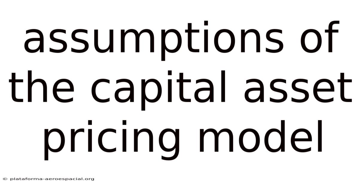 Assumptions Of The Capital Asset Pricing Model