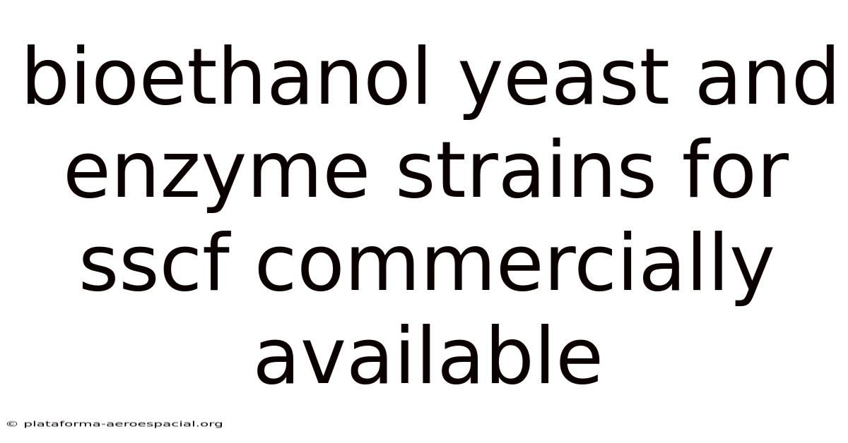 Bioethanol Yeast And Enzyme Strains For Sscf Commercially Available