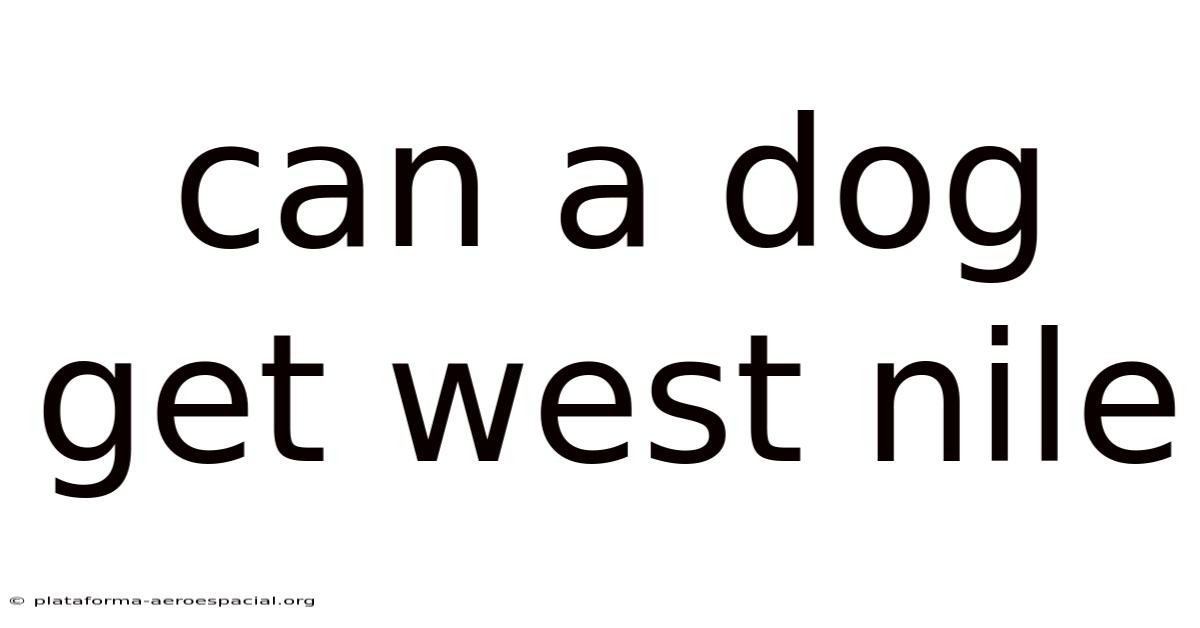 Can A Dog Get West Nile