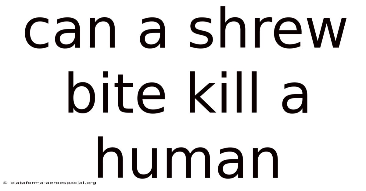 Can A Shrew Bite Kill A Human