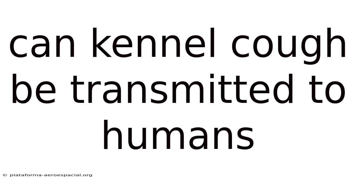 Can Kennel Cough Be Transmitted To Humans
