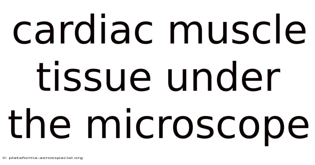 Cardiac Muscle Tissue Under The Microscope