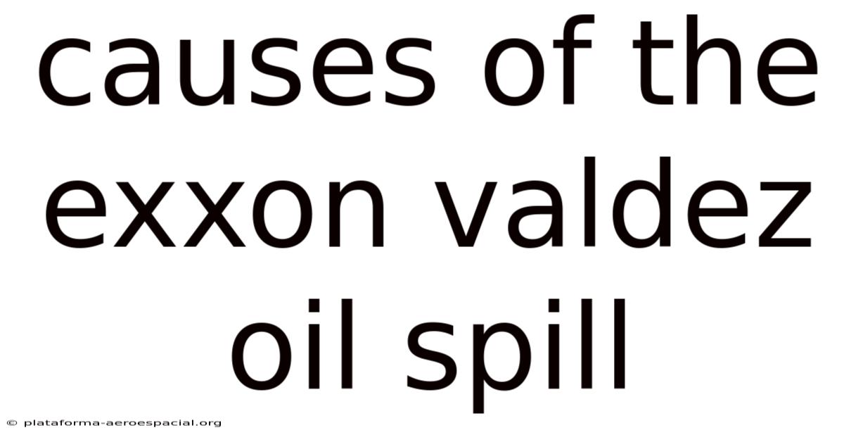 Causes Of The Exxon Valdez Oil Spill