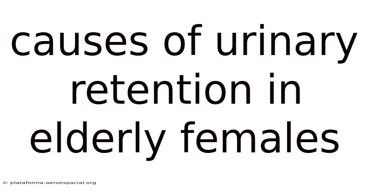 Causes Of Urinary Retention In Elderly Females