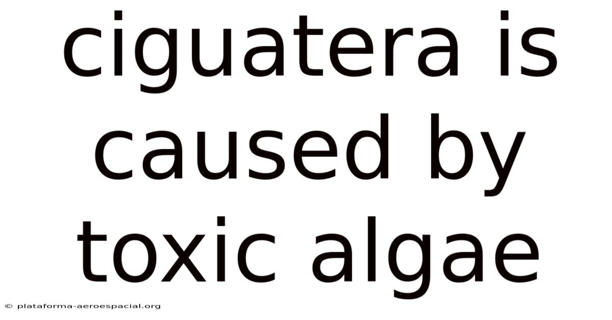 Ciguatera Is Caused By Toxic Algae