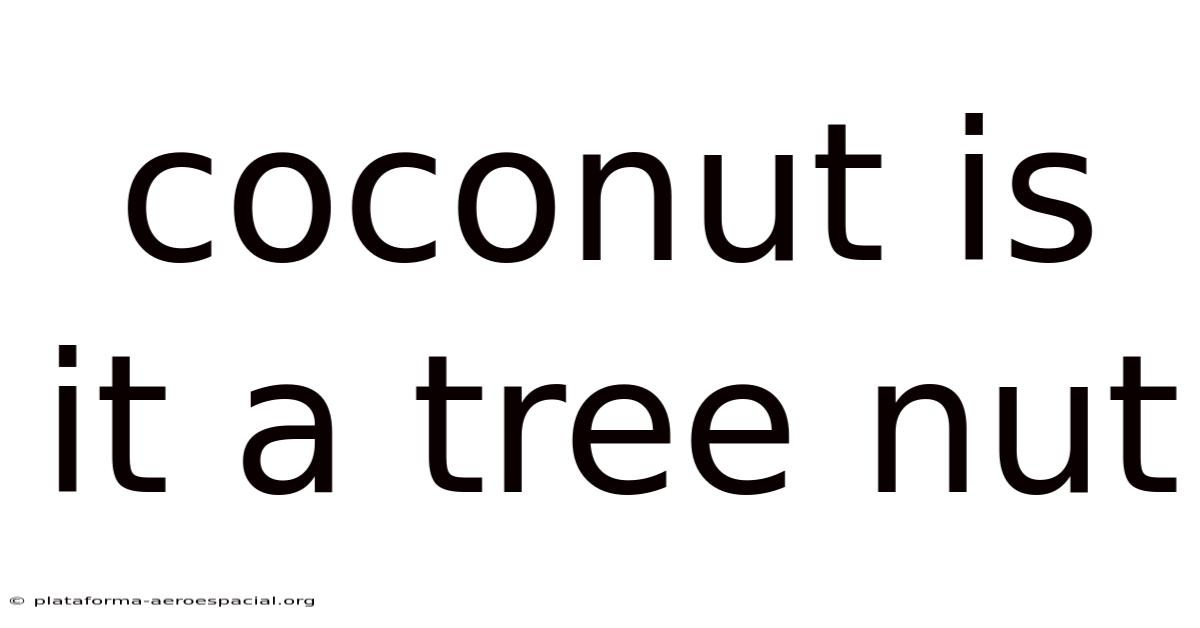 Coconut Is It A Tree Nut