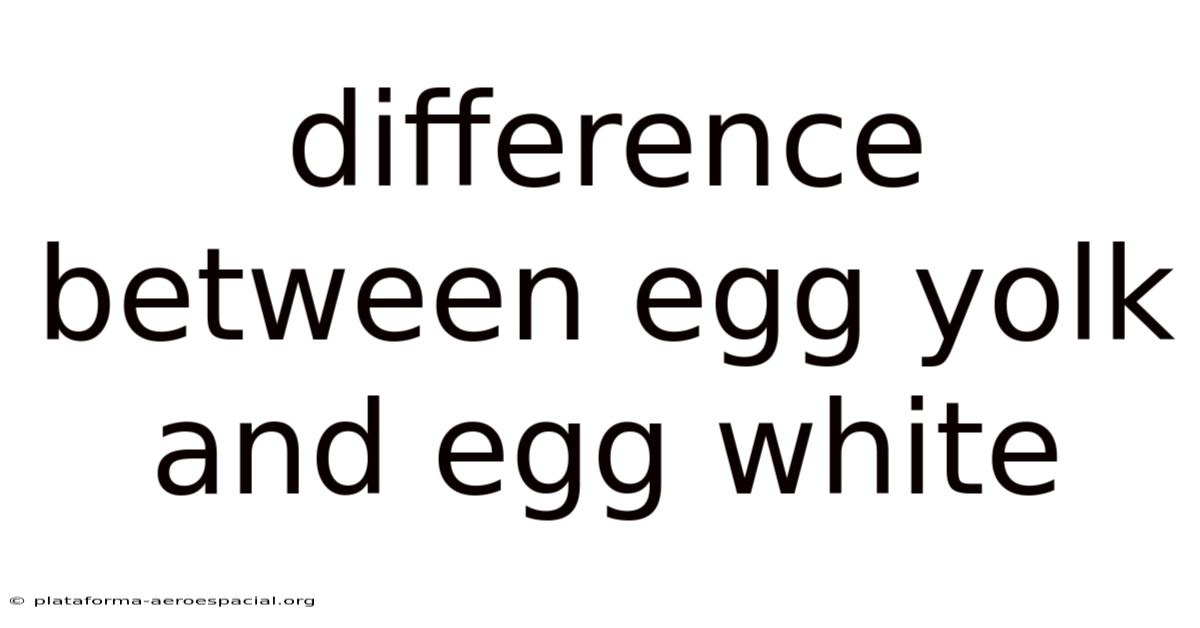 Difference Between Egg Yolk And Egg White