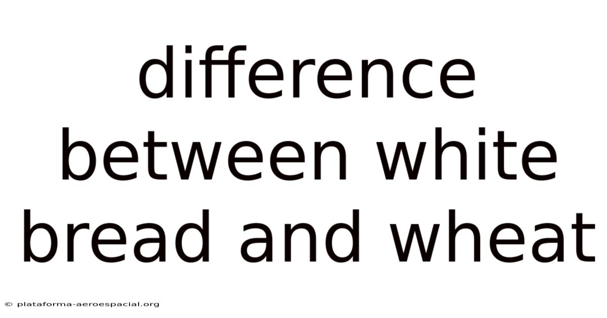 Difference Between White Bread And Wheat