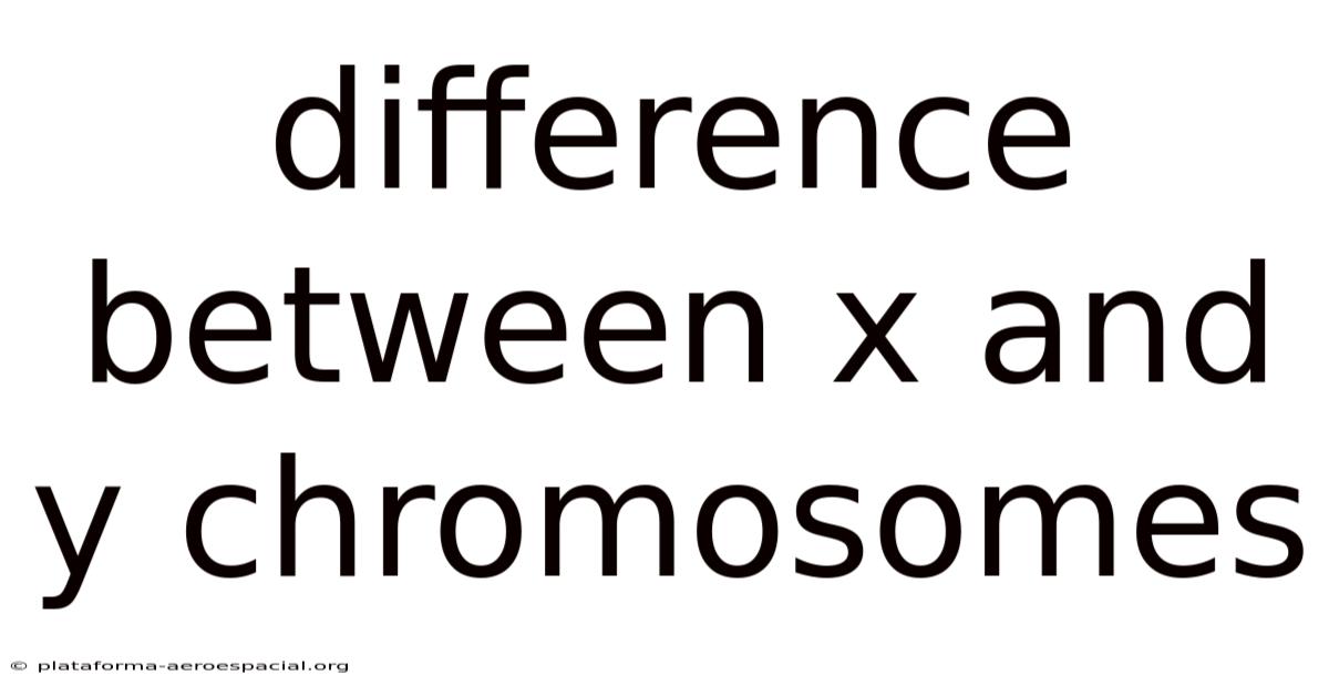 Difference Between X And Y Chromosomes