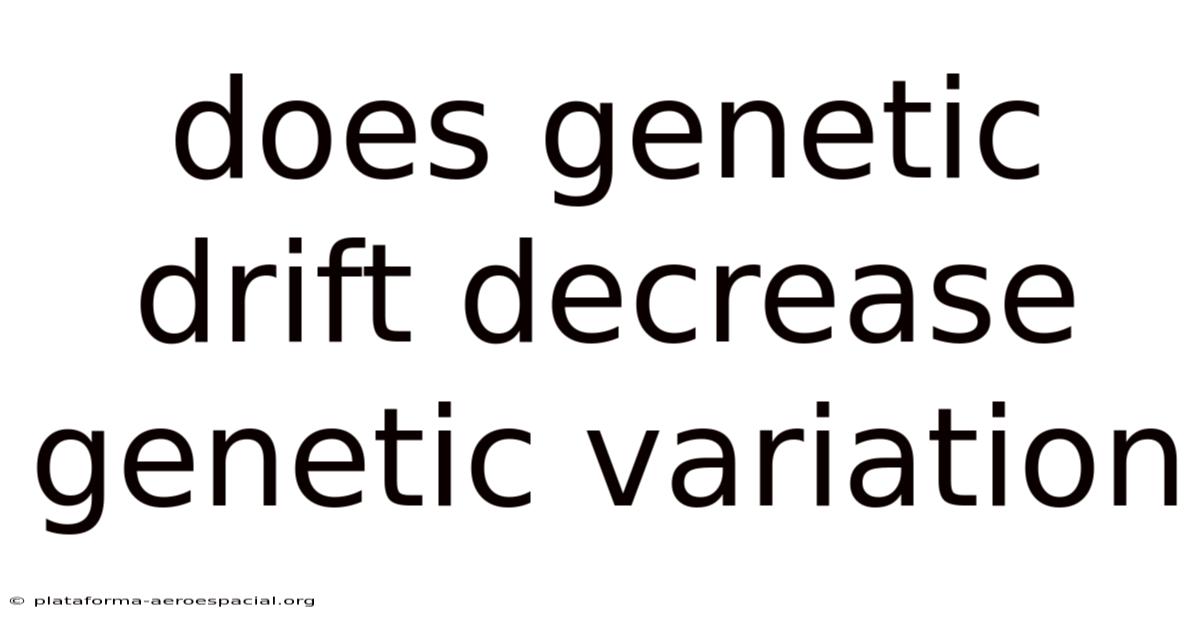 Does Genetic Drift Decrease Genetic Variation