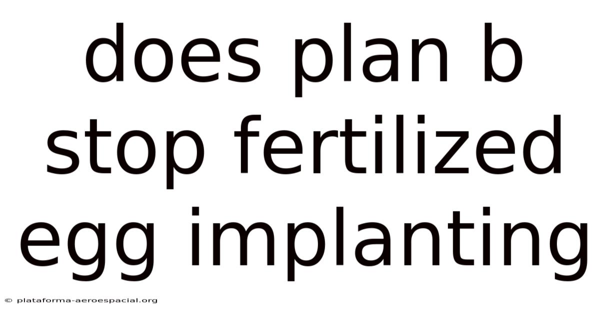 Does Plan B Stop Fertilized Egg Implanting