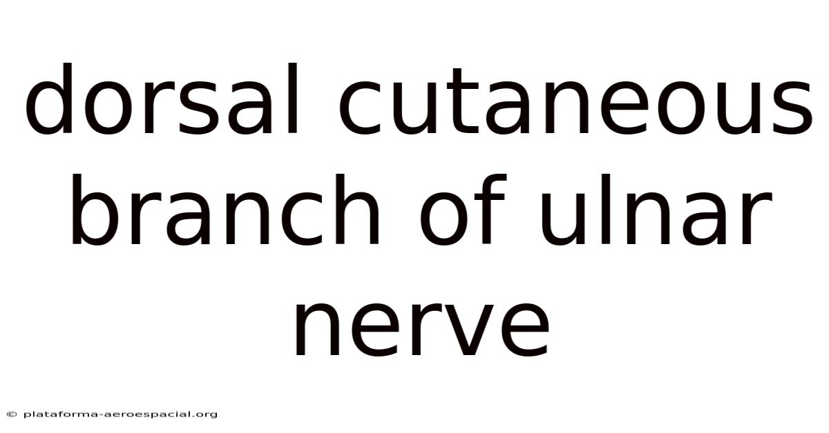 Dorsal Cutaneous Branch Of Ulnar Nerve