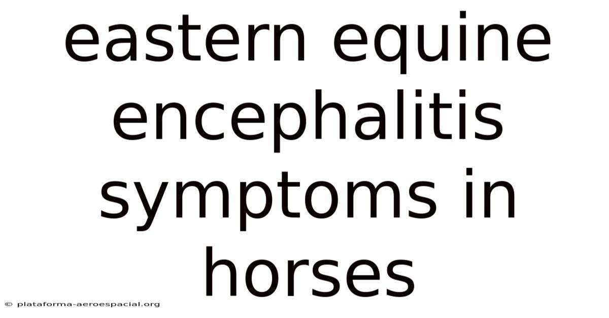 Eastern Equine Encephalitis Symptoms In Horses