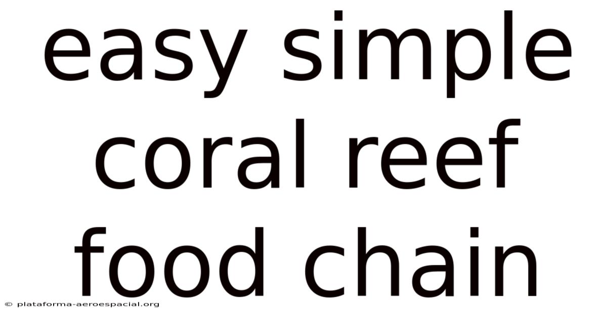 Easy Simple Coral Reef Food Chain