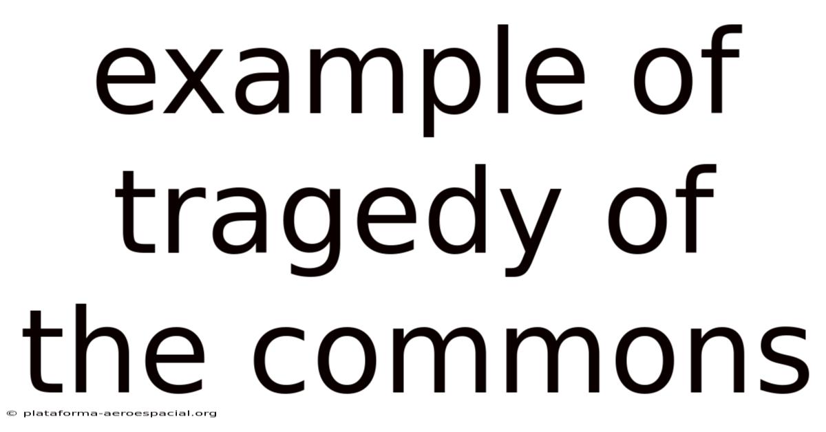 Example Of Tragedy Of The Commons