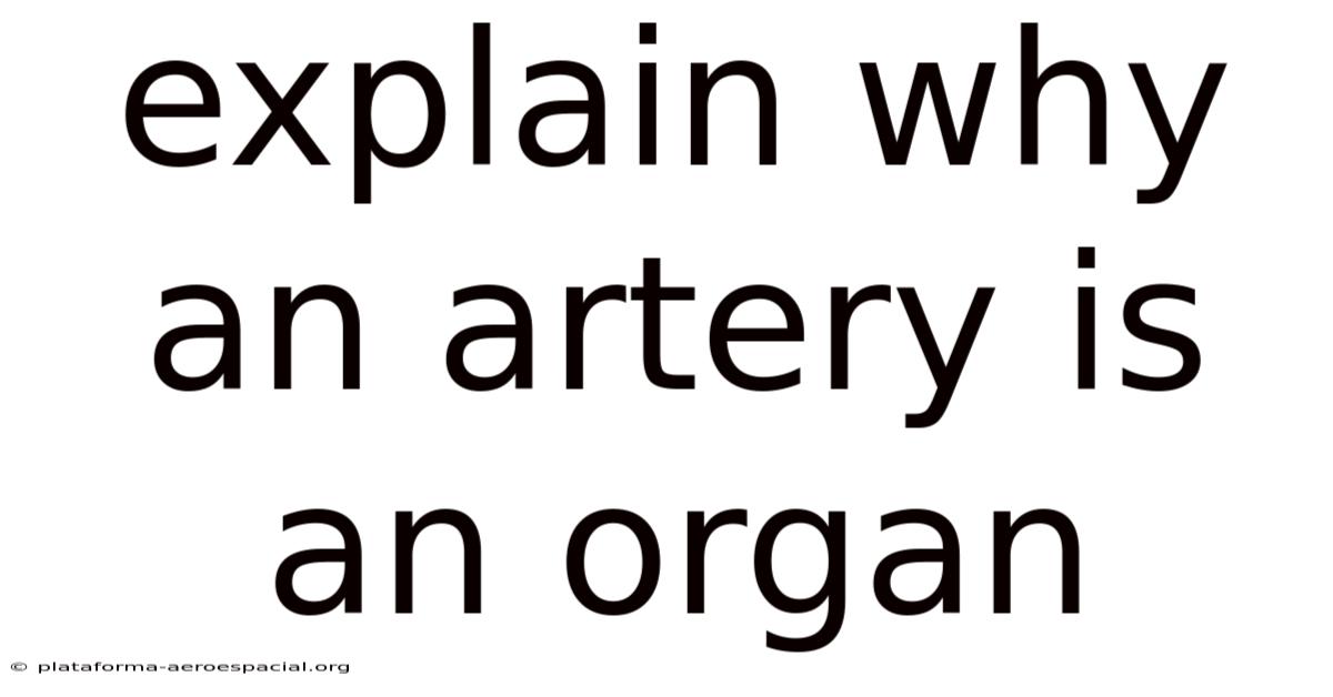 Explain Why An Artery Is An Organ