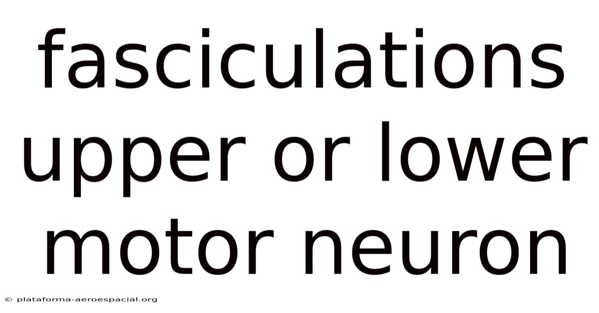 Fasciculations Upper Or Lower Motor Neuron