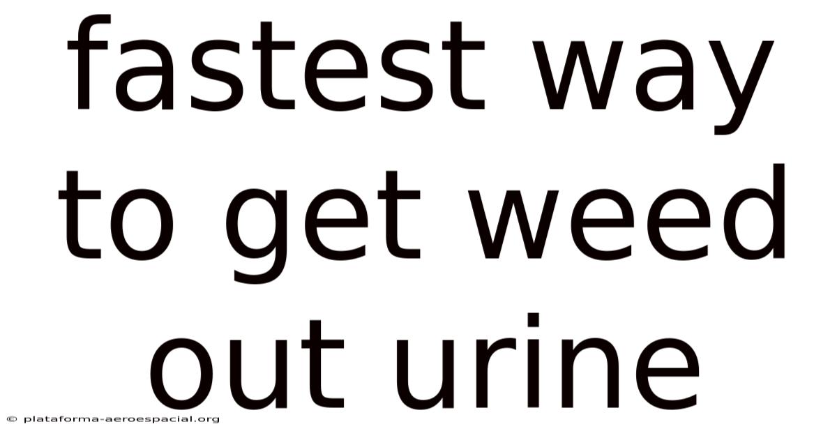 Fastest Way To Get Weed Out Urine
