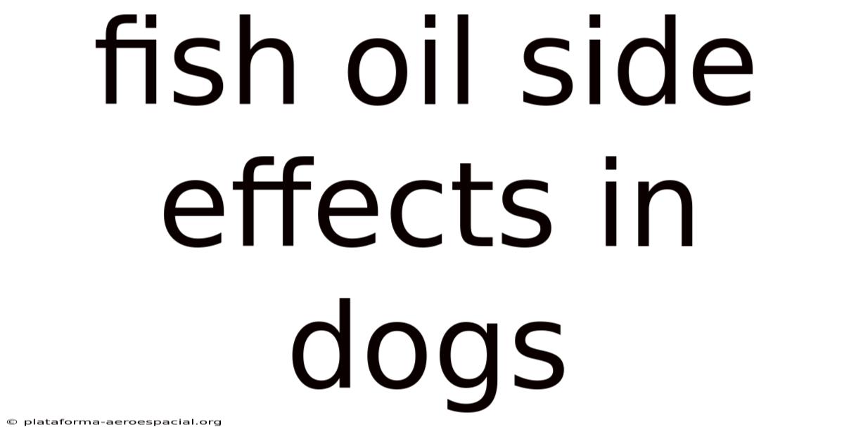 Fish Oil Side Effects In Dogs