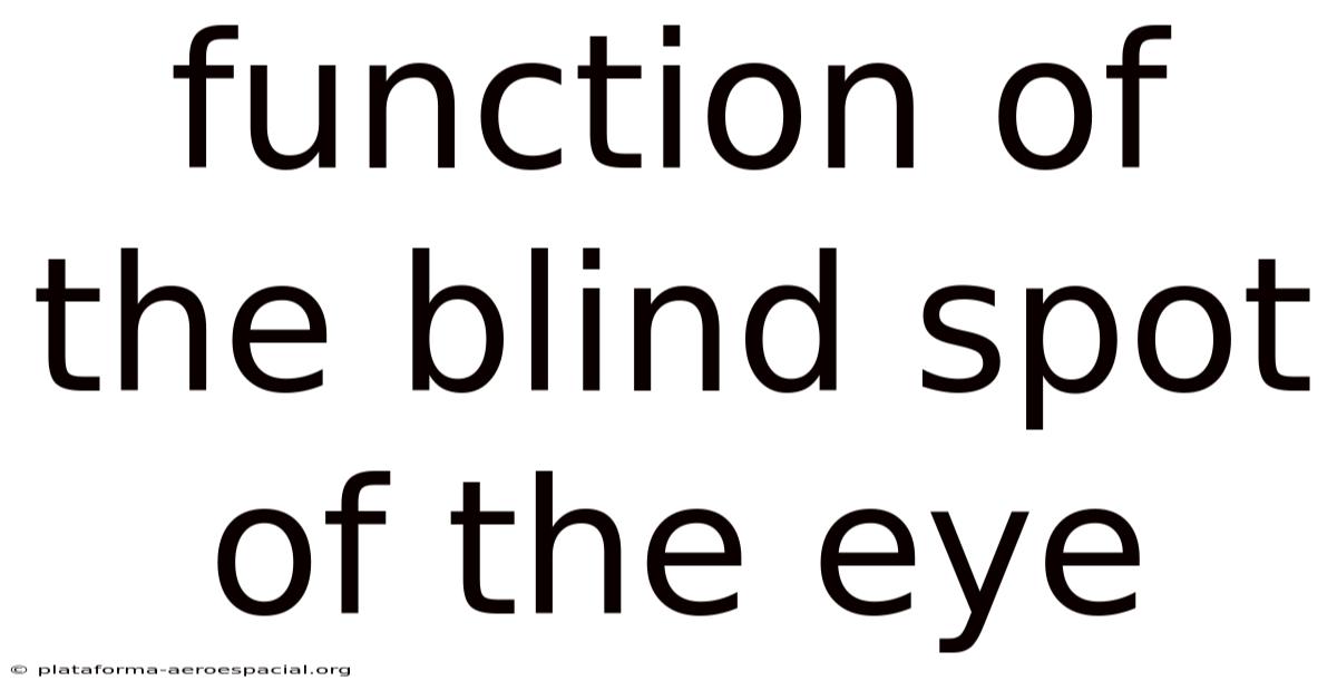 Function Of The Blind Spot Of The Eye
