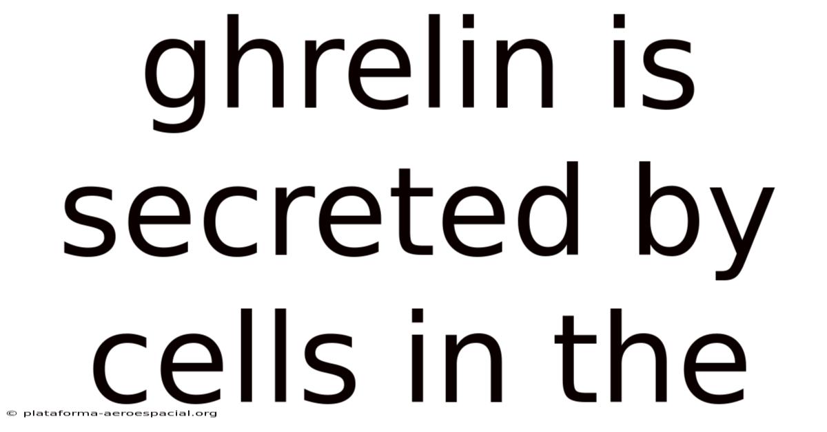Ghrelin Is Secreted By Cells In The