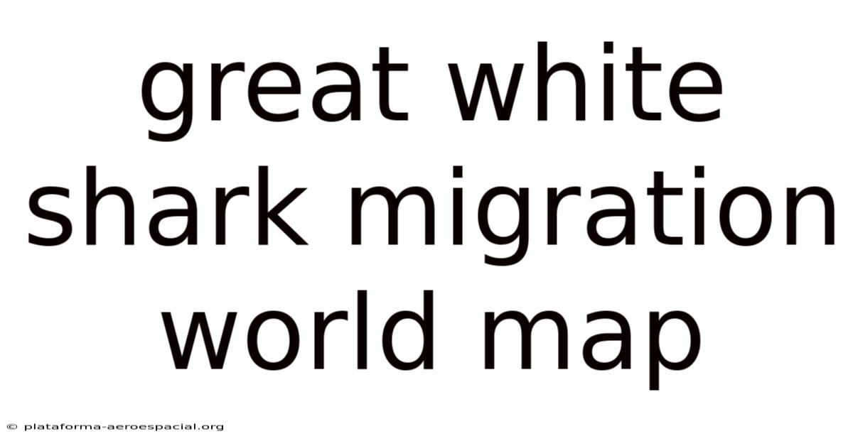 Great White Shark Migration World Map