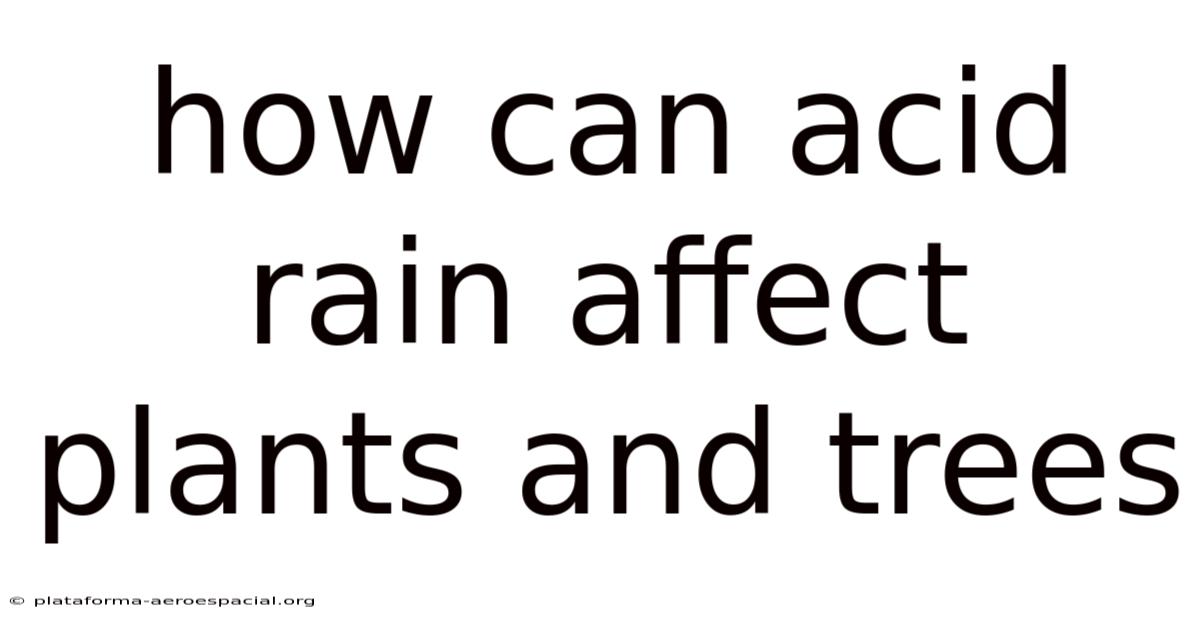 How Can Acid Rain Affect Plants And Trees