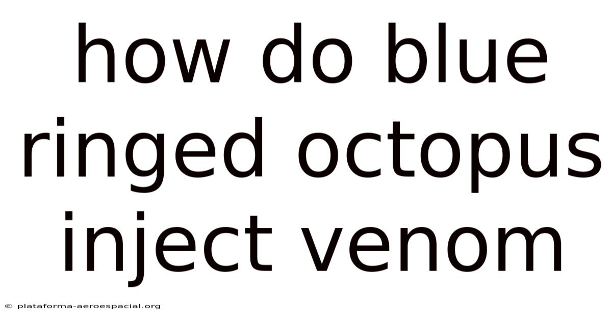 How Do Blue Ringed Octopus Inject Venom