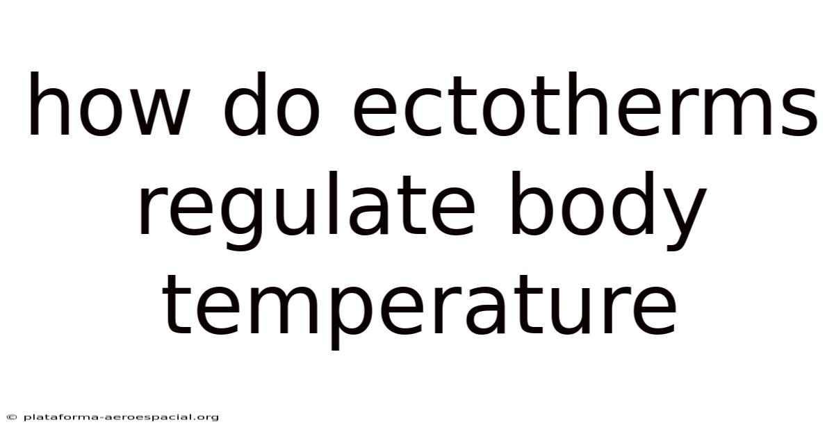 How Do Ectotherms Regulate Body Temperature