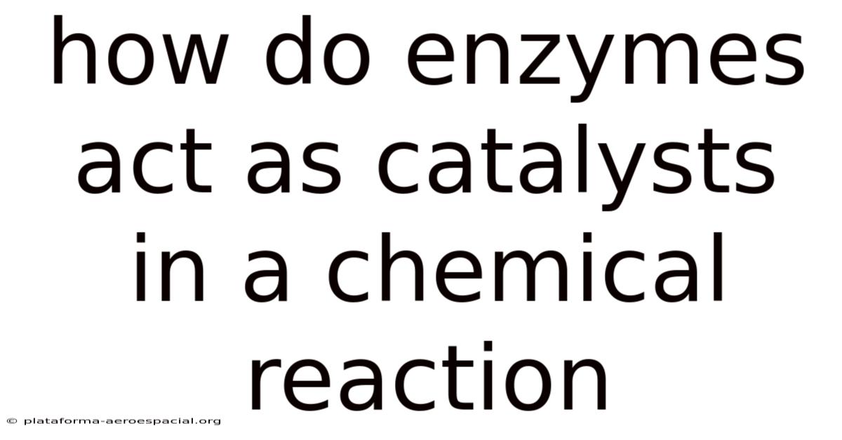 How Do Enzymes Act As Catalysts In A Chemical Reaction