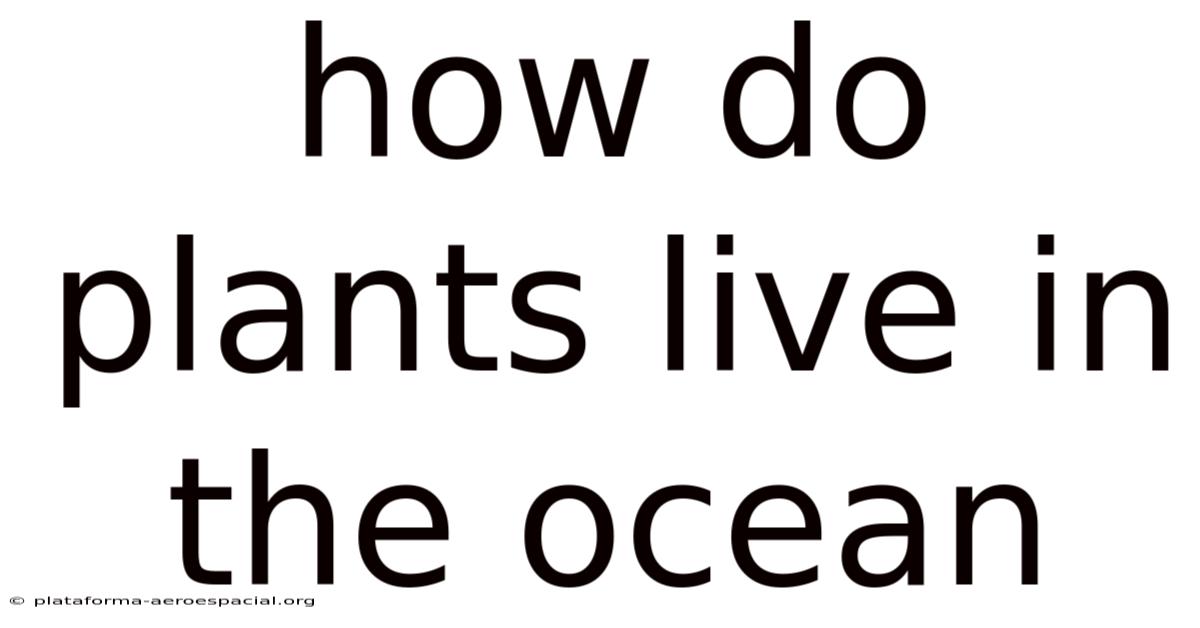 How Do Plants Live In The Ocean