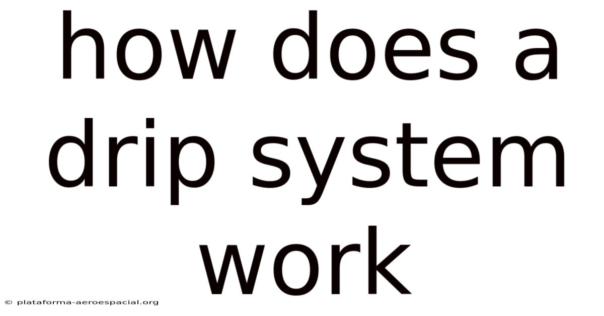 How Does A Drip System Work