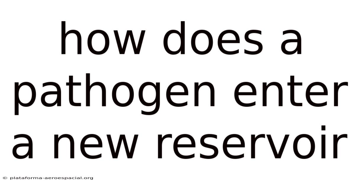 How Does A Pathogen Enter A New Reservoir