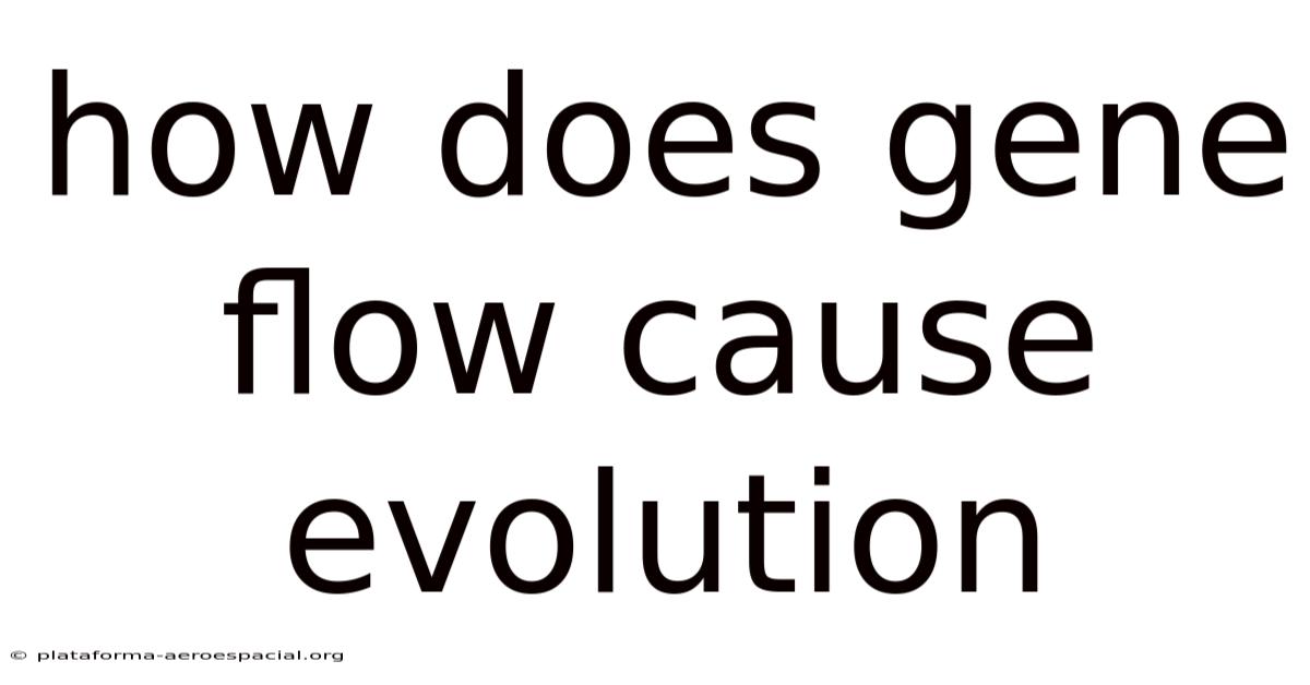 How Does Gene Flow Cause Evolution
