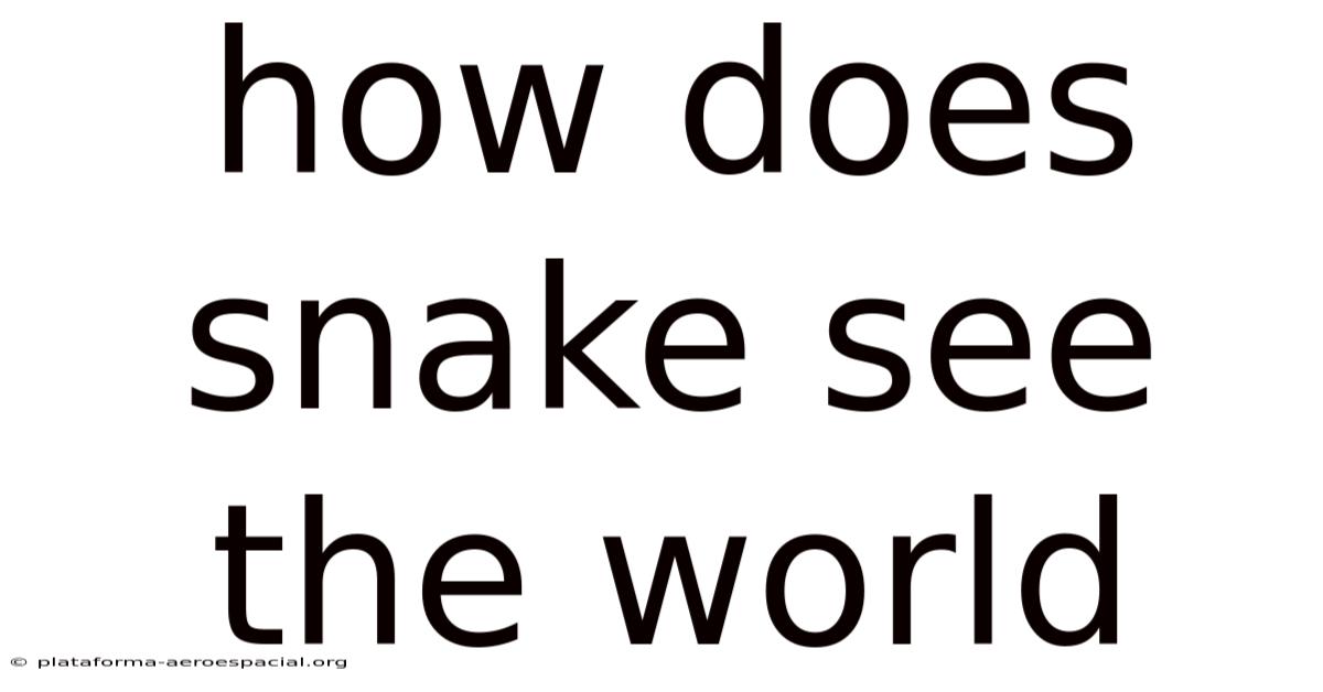 How Does Snake See The World