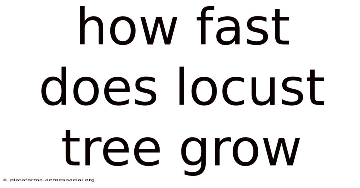 How Fast Does Locust Tree Grow