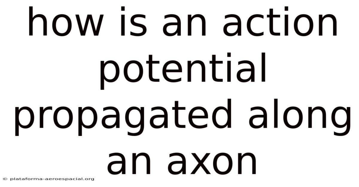 How Is An Action Potential Propagated Along An Axon