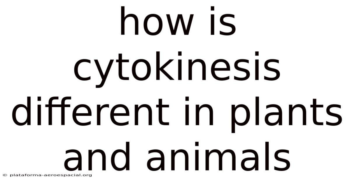 How Is Cytokinesis Different In Plants And Animals