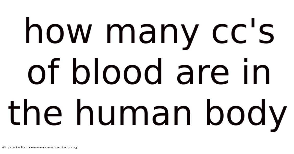 How Many Cc's Of Blood Are In The Human Body
