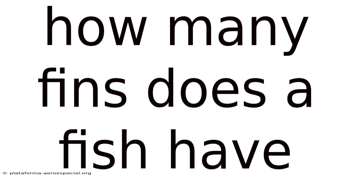 How Many Fins Does A Fish Have