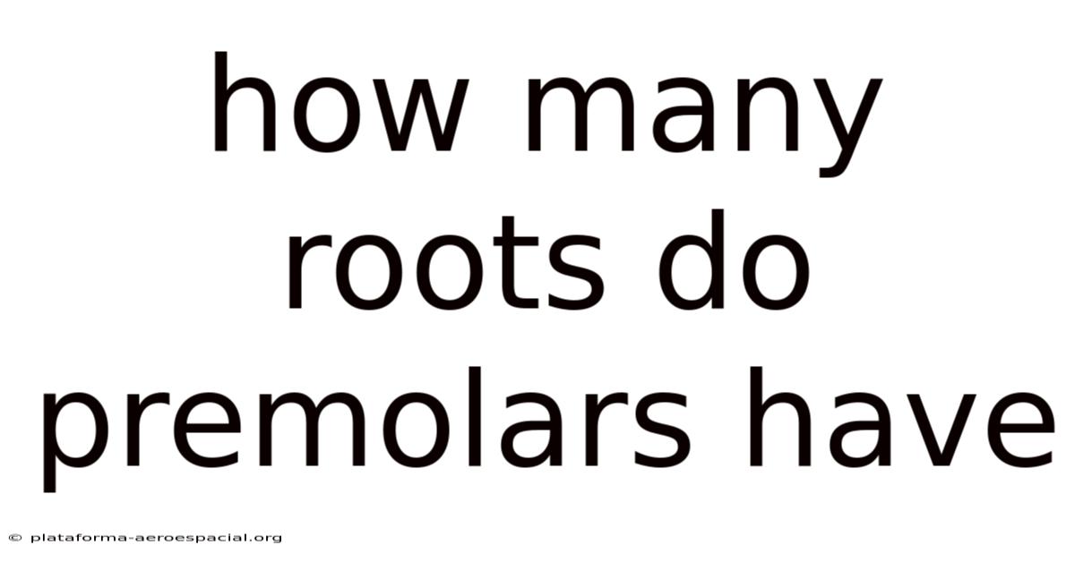 How Many Roots Do Premolars Have