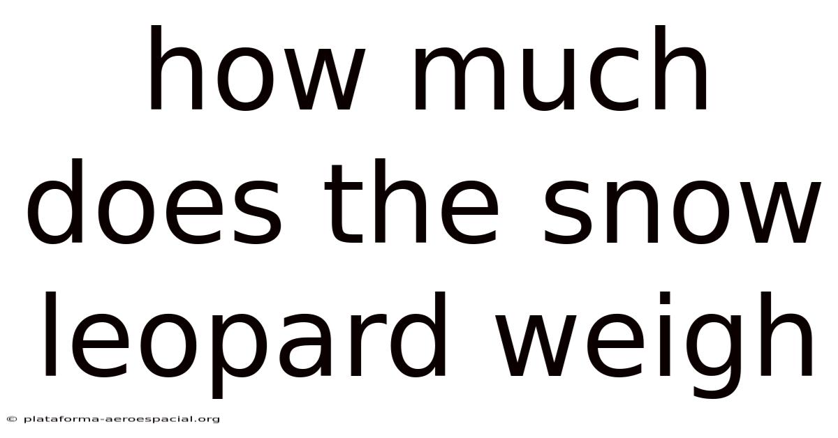 How Much Does The Snow Leopard Weigh