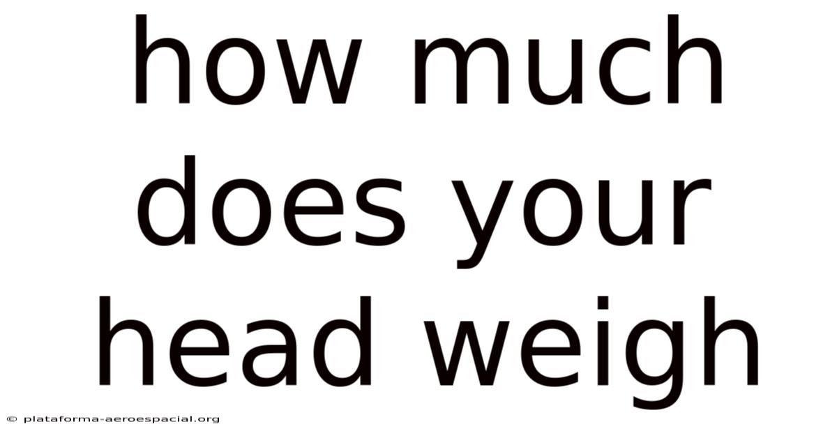 How Much Does Your Head Weigh