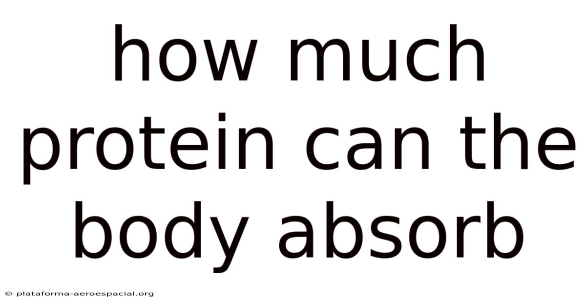 How Much Protein Can The Body Absorb