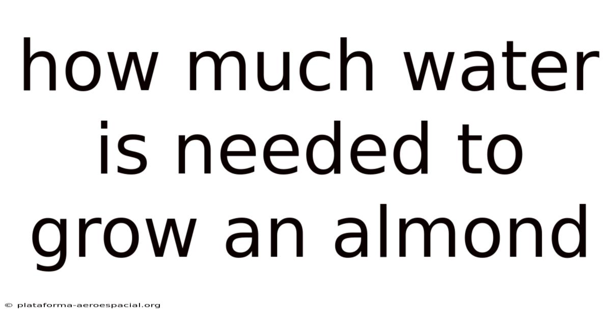 How Much Water Is Needed To Grow An Almond