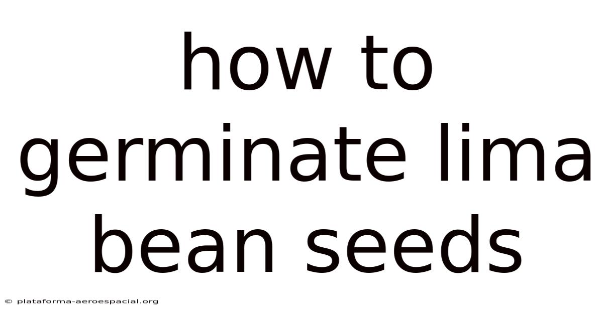 How To Germinate Lima Bean Seeds